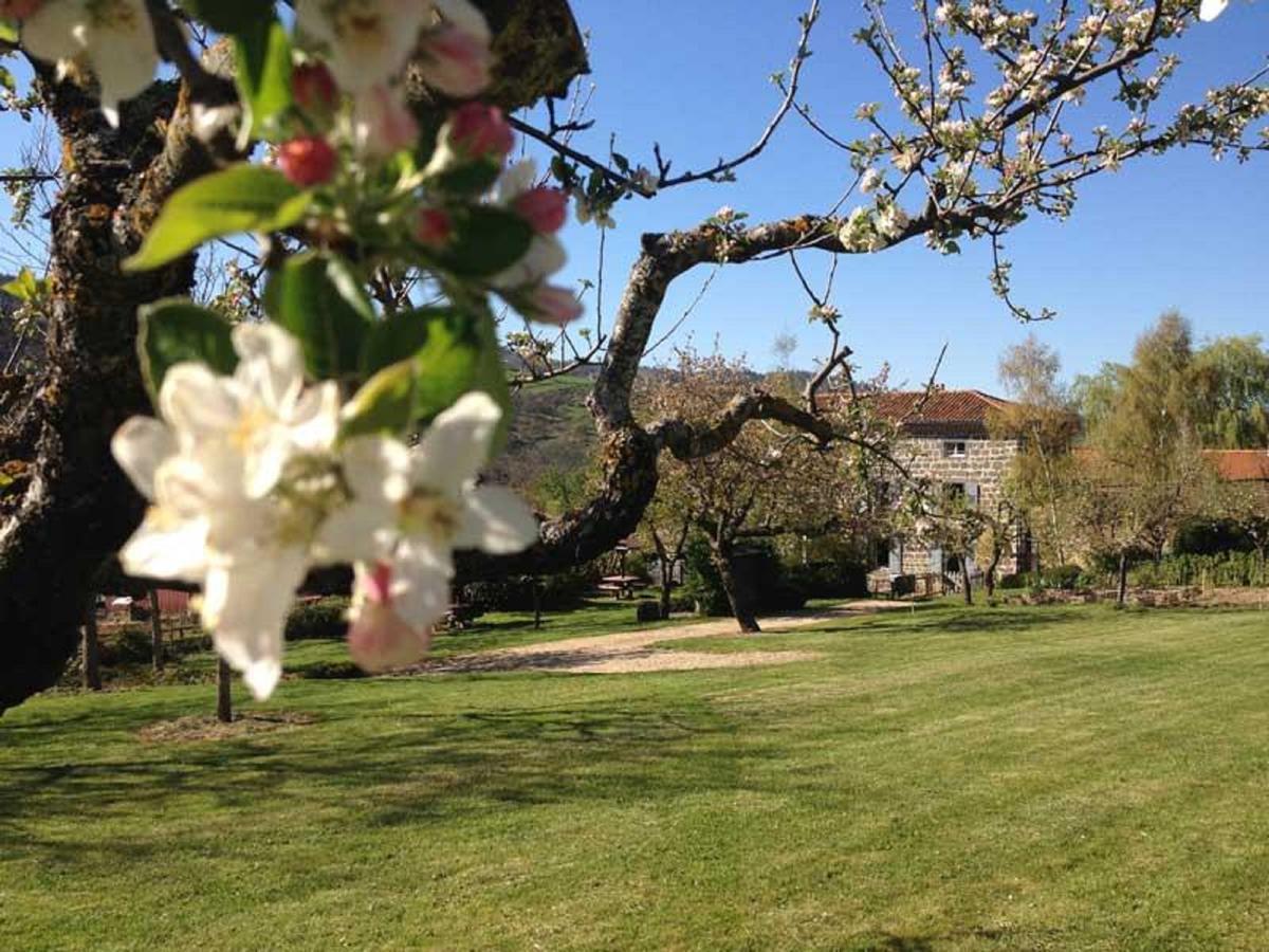 Les Jardins D'Anna - Chambres D'Hotes Tapon Dış mekan fotoğraf